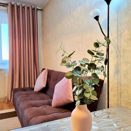 Apartment На Стрелке С Красивым Видом На Иртыш Ustʼ-Kamenogorsk Dış mekan fotoğraf