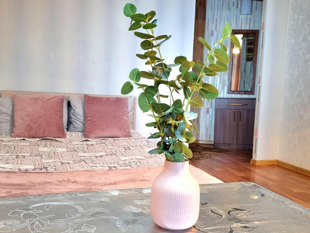 Apartment На Стрелке С Красивым Видом На Иртыш Ustʼ-Kamenogorsk Dış mekan fotoğraf