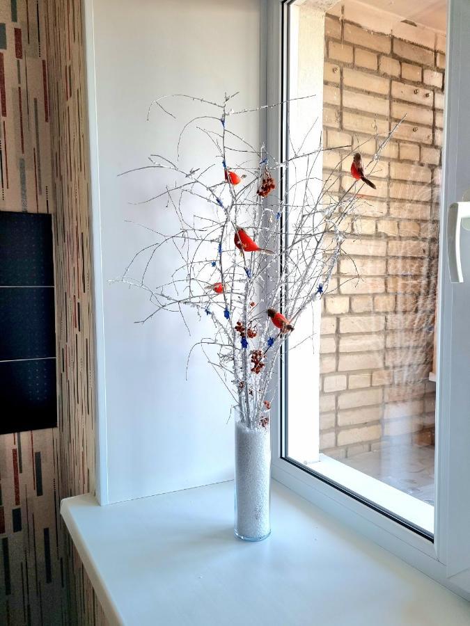 Apartment На Стрелке С Красивым Видом На Иртыш Ustʼ-Kamenogorsk Dış mekan fotoğraf