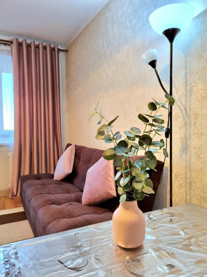 Apartment На Стрелке С Красивым Видом На Иртыш Ustʼ-Kamenogorsk Dış mekan fotoğraf